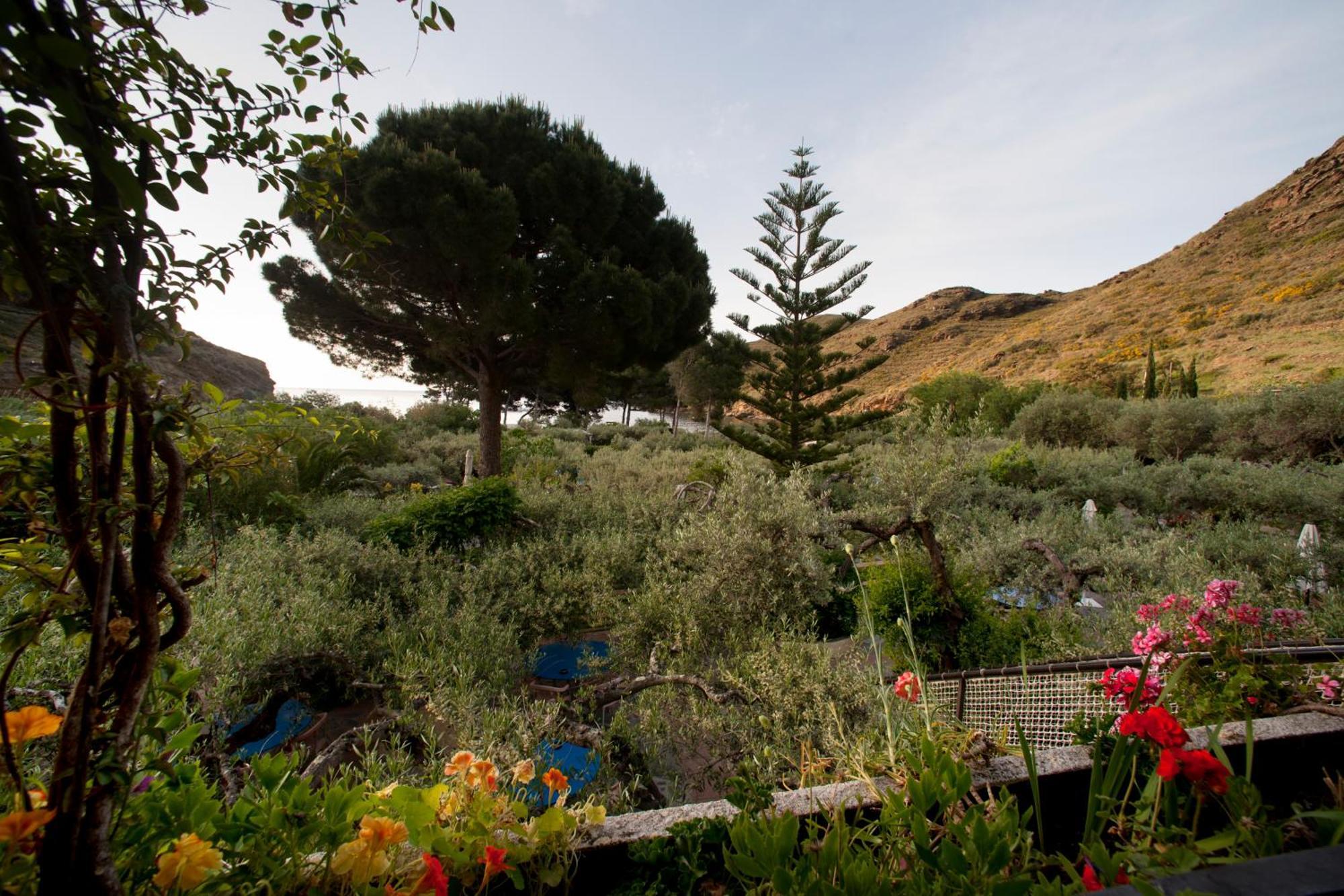 Hotel Cala Joncols Roses Bagian luar foto