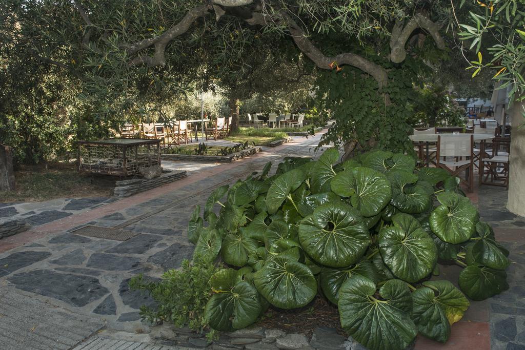 Hotel Cala Joncols Roses Bagian luar foto