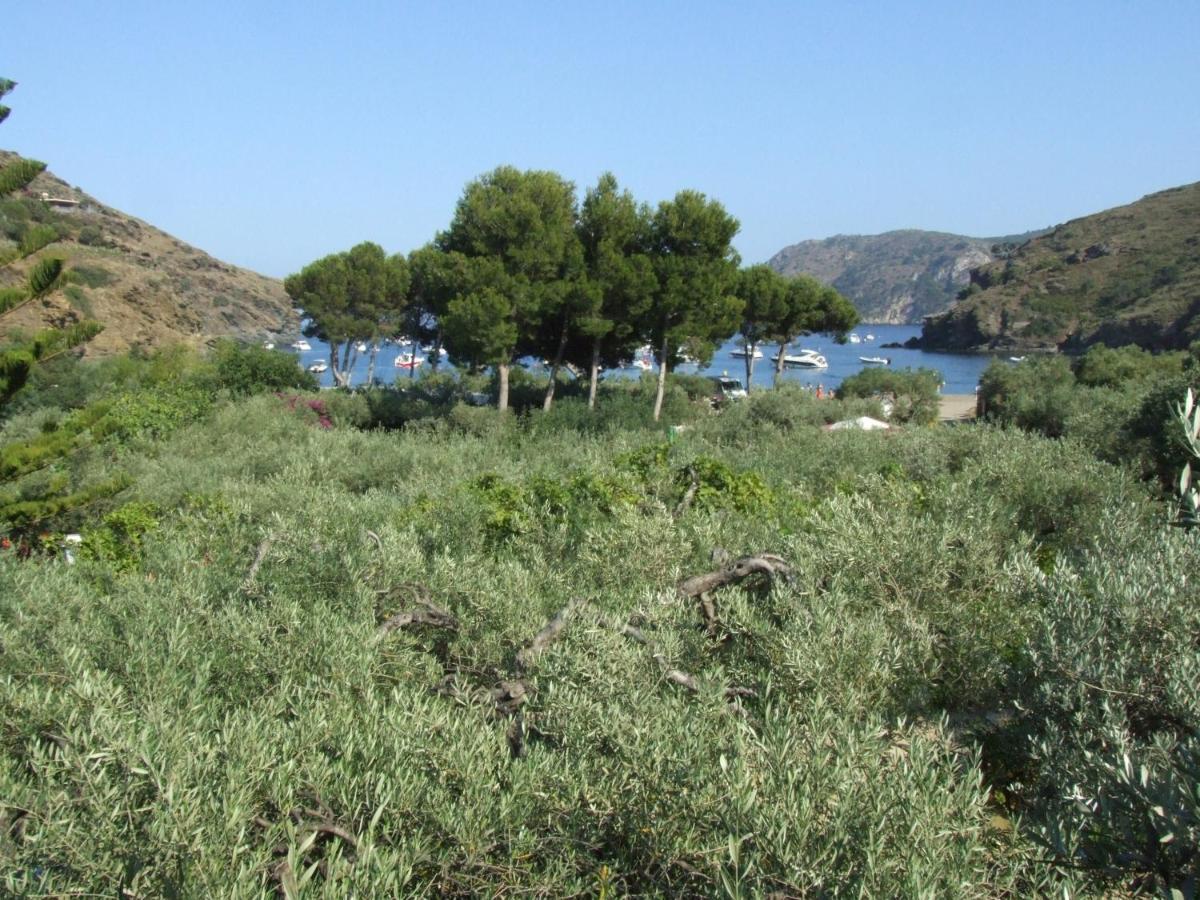 Hotel Cala Joncols Roses Ruang foto